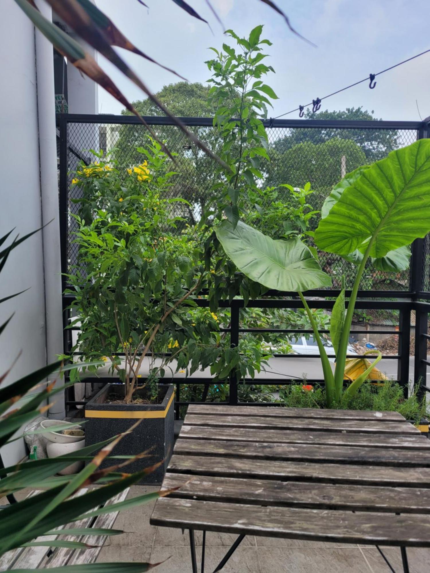 Agk House - Homestay - 406 Xo Viet Nghe Tinh, P25, Binh Thanh, Gan Nga 4 Hang Xanh Cidade de Ho Chi Minh Exterior foto